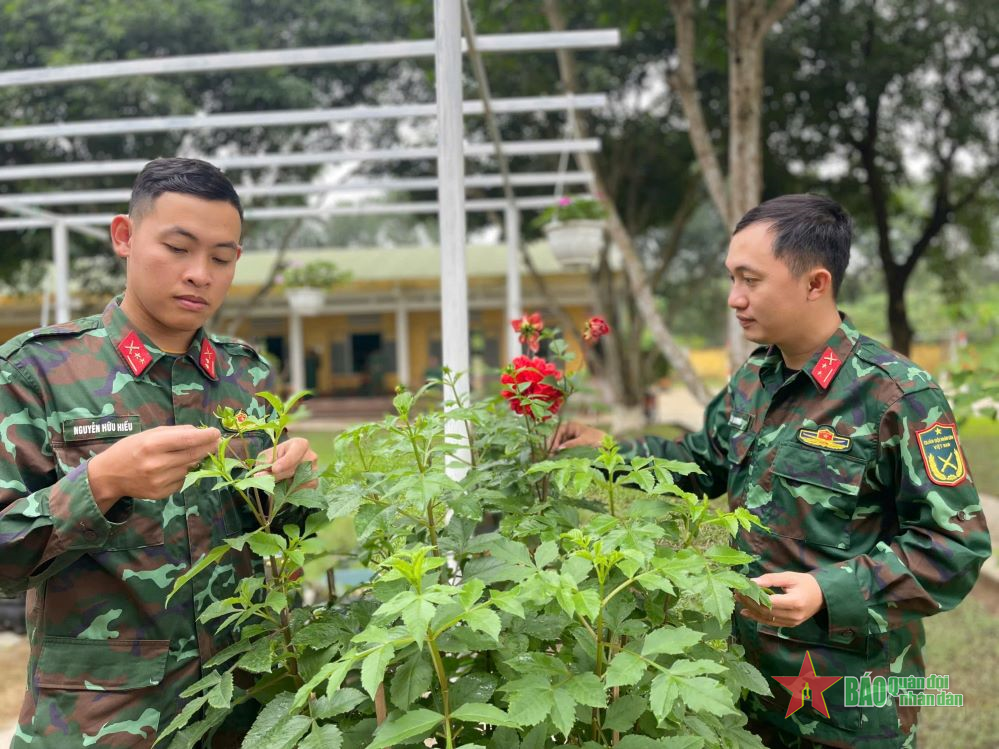 Sư đoàn 968 (Quân khu 4) chuẩn bị chu đáo để bộ đội vui xuân, đón Tết